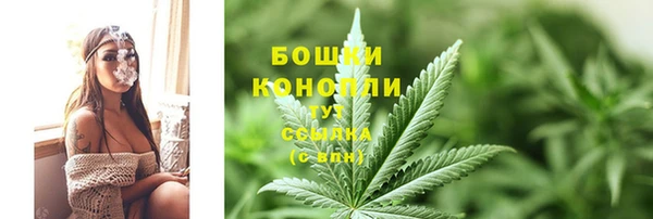 трава Михайловск