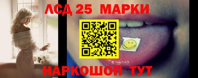 гидра Дубна