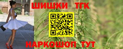 гидра Дубна