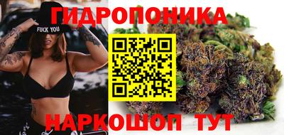 гидра Дубна