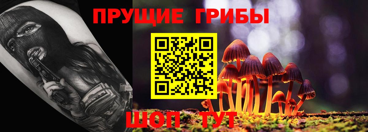 Псилоцибиновые грибы мухоморы Великий Новгород